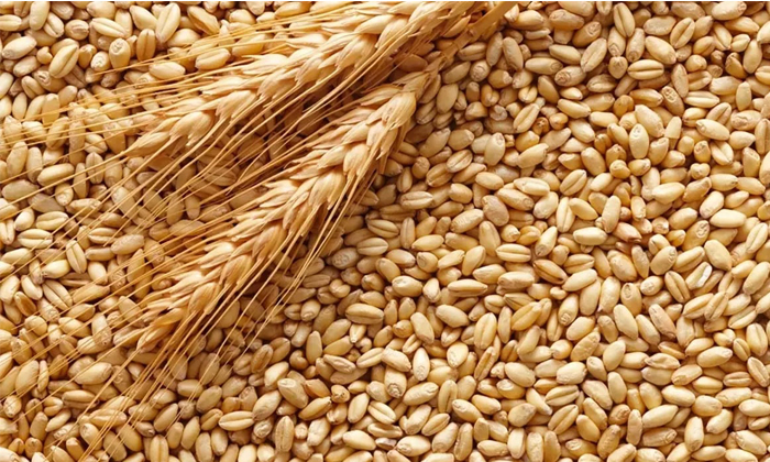 Очистка зерна