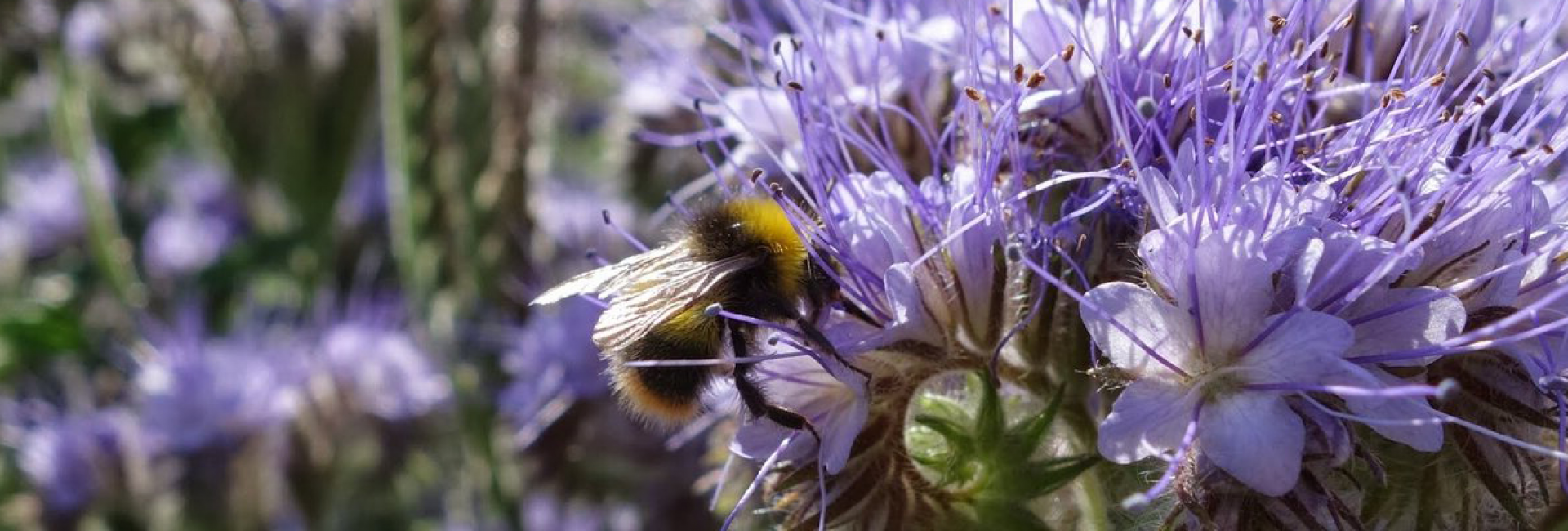  КФХ БелАгроМолл